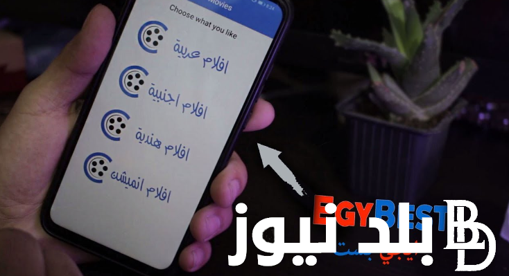 رابط موقع ايجي بست EgyBest الاصلي 2023 لمشاهدة الأفلام الأجنبية والعربية مجانًا
