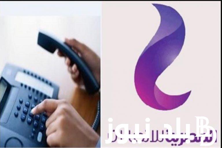 رابط الاستعلام عن فواتير التليفون الأرضي بالاسم والرقم 2023 شهر نوفمبر عبر موقع المصرية للاتصالات billing.te.eg
